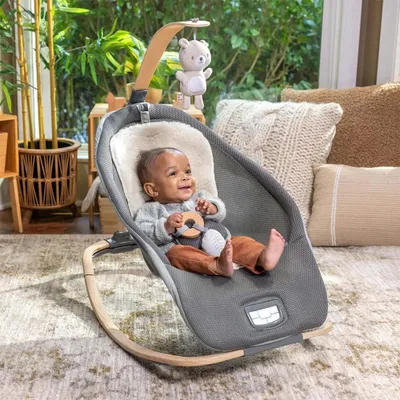 Immagine prodotto di INGENUITY Dondolo vibrante con melodia Every Season™ - Wesley™ da 0m+ a 18 kg