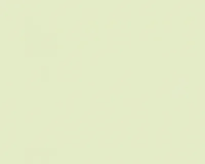 Produktbild von Esprit Home Kids Papiertapete Jungle Party grün 10,05 m x 0,53 m 303053