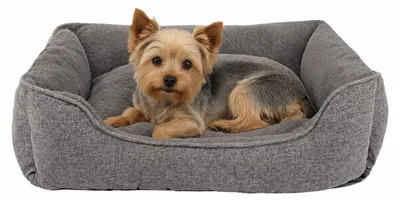 Produktbild von lionto Hundesofa, modernes Hundebett mit rutschfester Unterseite, abnehmbarem Bezug & Plüsch-Innenmaterial, 75x60 cm, grau