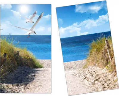 Produktbild von Spritzschutz Herdabdeckplatte Schneidebrett aus Glas Möwen am Meer 2-Teilig (60x52cm)