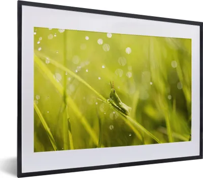 Produktbild von MuchoWow® MuchoWow® Gerahmtes Poster Grashüpfer - Gras - Grün 40x30 cm - Poster mit zchwarzem Bilderrahmen - Bilderrahmen - Poster im Rahmen