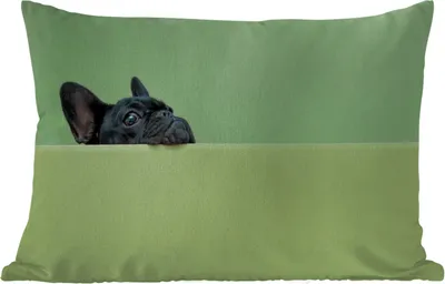 Produktbild von MuchoWow® Outdoor Kissen - Französische Bulldogge - Grün - Schwarz - 60x40 cm - Wetterfest - Lounge Kissen - Zierkissen - Kissen für Innenräume