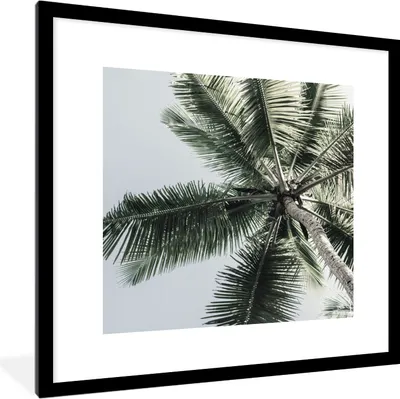 Produktbild von MuchoWow® Gerahmtes Poster Palme - Tropisch - Sommer 40x40 cm - Poster mit Schwarzem Bilderrahmen Wandposter Rahmen Foto Bilder - Poster - Plakat im Rahmen