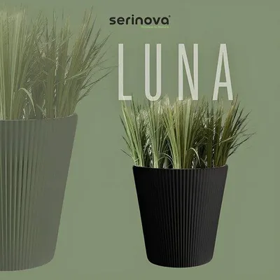 Image de Luxe Luna pot de fleurs rond noir 39 cm avec bac de récupération d'eau - élégant bac à plantes pour l'intérieur et l'extérieur