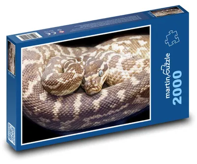 Obrázek produktu pro martinpuzzle - Puzzle 2000 - Krajta - had