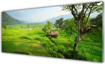 Produktbild von Glasbilder 125x50 Wandbild Druck auf Glas Wiese Natur