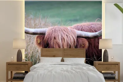 Produktbild von MuchoWow® Fototapete für Wohnzimmer oder Schlafzimmer Wandtapete Vinyl Motivtapete Schottischer Highlander - Hörner - Gras - 240x240 cm - Schlafzimmer-Tapete