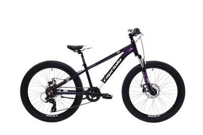 Obrázok produktu pre Horský Bicykel Capriolo Mtb Lc 24"/Al Fialovo-Modrý