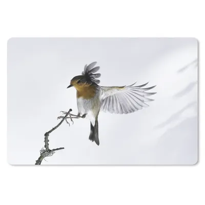 Produktbild von MuchoWow® Schreibtischunterlage Nahaufnahme Vogel 60x40 cm - XXL Mauspad - Großes Mauspad