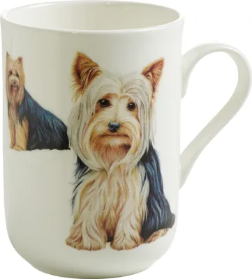 Produktbild von PETS Becher Yorkshire Terrier Hund, Bone China Porzellan, in Geschenkbox