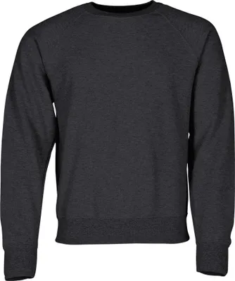 Produktbild von CLASSIC RAGLAN SWEAT | Sweatshirt – Uni, Rundhals, klassisch geschnitten, 80% Baumwolle/20% Polyester