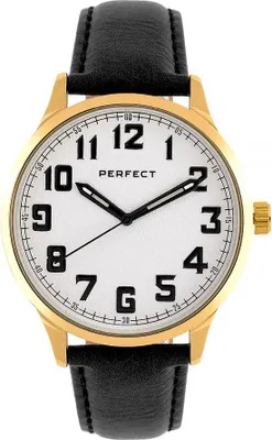 Image de Montre classique pour homme Perfect-PF01069