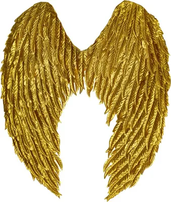 A pair of golden angel wings.