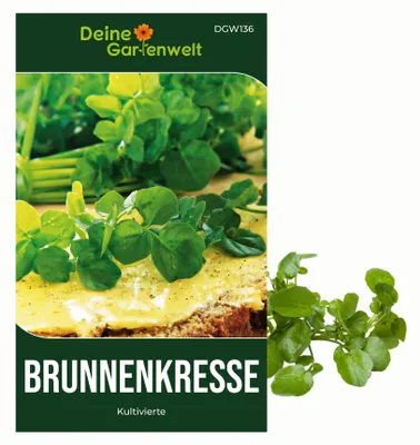 Produktbild von Brunnenkresse Kultivierte Samen - Nasturtium officinale - Brunnenkressesamen - Gemüsesamen - Saatgut für 1.000 Pflanzen