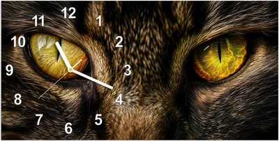 Produktbild von Wanduhr aus Glas mit Motiv Katzenaugencloseup- 60 x 30 cm - inkl. Aufhängesystem