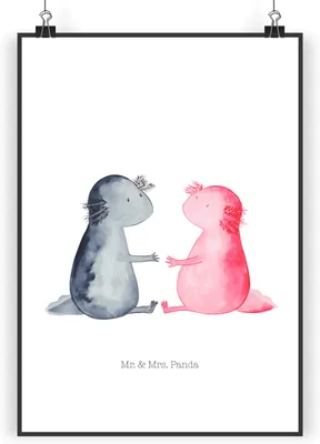 Produktbild von Mr. & Mrs. Panda Bild Axolotl Liebe DIN A4 - Weiß - Geschenk, Plakat, wanddeko, Kunstdruck, Valentinstag, Lurch, Wandbild, drucke
