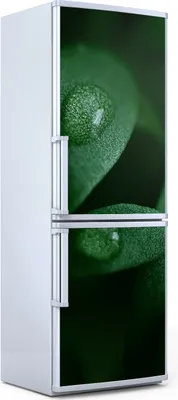 Produktbild von Magnete Dekorative - 70 cm x 190 cm - Küche - Magnetmatte Kühlschrankmagnete - Mikrogrüne Blätter