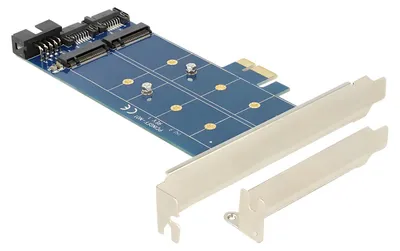 Produktbild von Delock PCI Express Karte > 2 x intern M.2 NGFF