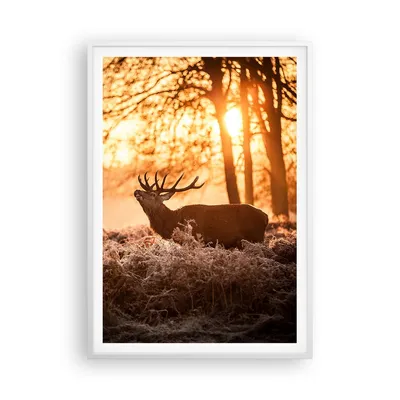 Produktbild von Gerahmtes Poster - Weißer Rahmen - Deer Heidekraut Tier - 70x100 cm - Wand Bild - Wanddeko - Wandbilder - Kunstposter - Wandposter - Bilderrahmen - Bilder - Kunstdruck - Wandbild - P2WPA70x100-3043