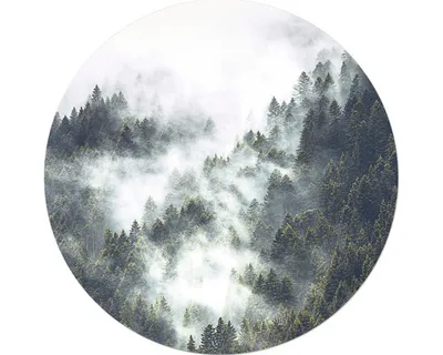 Produktbild von Glasbild Mystic Forest V Ø 20 cm
