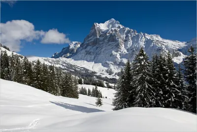 Produktbild von Wallario Poster - Verschneiter Berghang unter blauem Himmel, Kunstdruck Größe: 100 x 150 cm