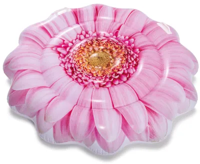 Image de Intex 58787 Matelas gonflable Daisy 142x142cm