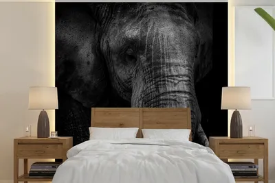 Produktbild von MuchoWow® Fototapete für Wohnzimmer oder Schlafzimmer Wandtapete Vinyl Motivtapete Elefant - Tier - Porträt - 240x240 cm - Schlafzimmer-Tapete