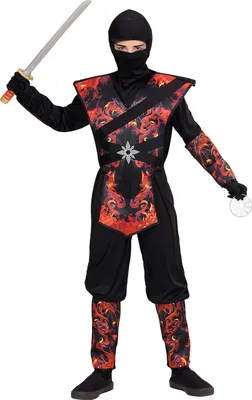 Produktbild von DRACHENNINJA IN FLAMMEN (Overallmit Brustpanzer, Maske) 116