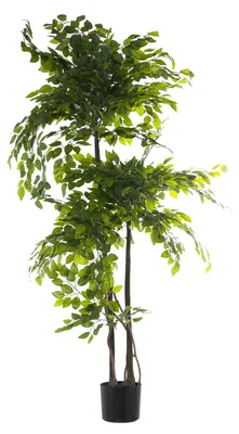Kunstpflanze Ficus aus PU, grün, 160 x 25 x 25 cm