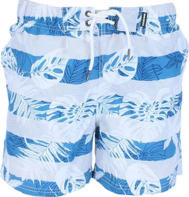 Produktbild von Chiemsee Herren Badeshorts Alloverprint 2051803