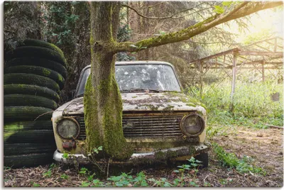 Produktbild von ARTland Leinwandbild Lost Places - Rostlaube Lada- verlassen Größe: 90x60 cm