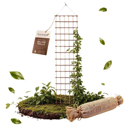 Immagine prodotto di Floranica Graticcio per piante rampicanti in legno 30 x 150 cm, traliccio da esterno, griglia in vimini e juta