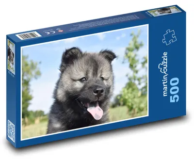 Obrázek produktu pro martinpuzzle - Puzzle 500 - Eurasierské štěně