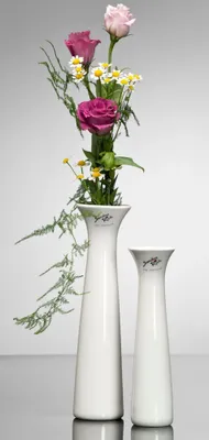 Produktbild von Porzellanvase Blumenvase Sandra Rich Serie CLASSY Porzellanweiß 20cm