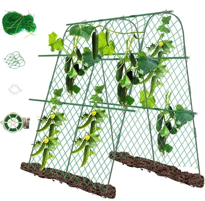 Obrázok produktu pre Omgoods – Skleník na paradajky a zeleninu, 160 x 140 x 120 cm
