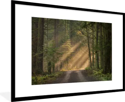 Produktbild von MuchoWow® MuchoWow® Gerahmtes Poster Wald - Baum - Weg 90x60 cm - Poster mit zchwarzem Bilderrahmen - Wanddekoration - Fotos