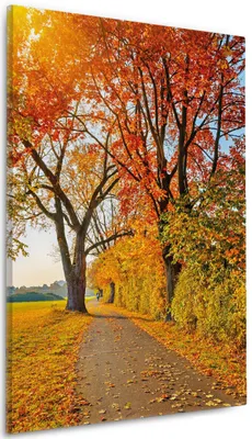 Produktbild von Wallario Premium Leinwandbild Herbstlicher Waldweg mit buntem Laub in Größe 60 x 90 cm