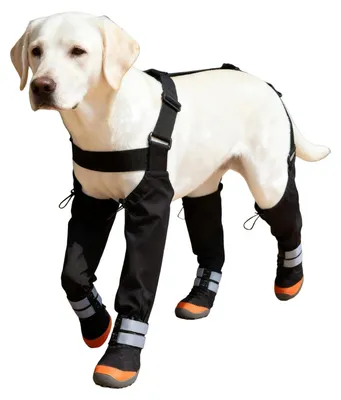 Image de Bottes imperméables pour chiens avec sangles de maintien