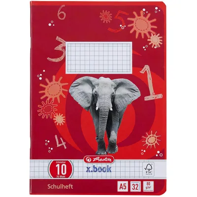 Immagine prodotto di herlitz 340109 herlitz Schulheft x.book Lineatur 10 kariert DIN A5 Außenrand, 32 Blatt