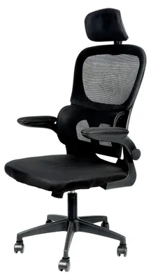 Produktbild von Ergonomischer Bürostuhl mit Drehfunktion und Lendenstütze