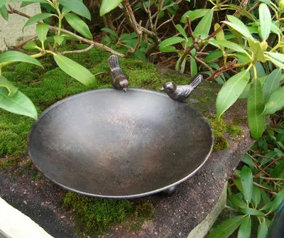Produktbild von Vogeltränke Vogelbad Vogel-Futterstelle Eisen massiv bronzefarben 22