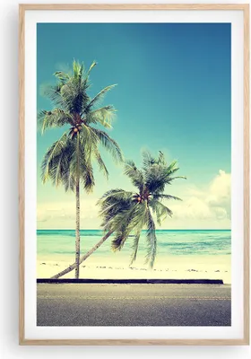 Produktbild von Gerahmtes Poster - Rahmen in heller Eiche - Auto Surfbrett Strand Ozean - 61x91,5 cm - Wand Bild - Wanddeko - Wandbilder - Wandposter - Bilderrahmen - Bilder - Kunstdruck - Wandbild - P2NPA61x91-2835