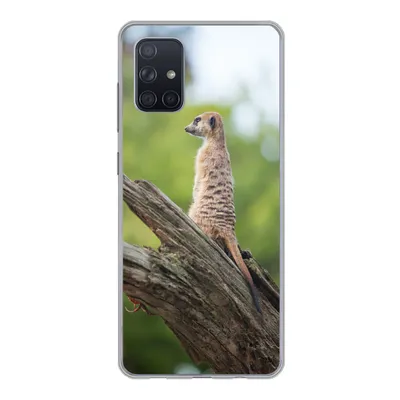 Produktbild von MuchoWow® Handyhülle Schutzhülle Hülle für Samsung Galaxy A51 5G Erdmännchen - Ast - Baum Silikon Softcase Handy Hülle - Abbildung