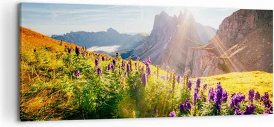 Produktbild von Bild auf Leinwand - Leinwandbild - Berge Wiese Blumen - 120x50cm - Wand Bild - Wanddeko - Leinwanddruck - Bilder - Kunstdruck - Wanddekoration - Leinwand bilder - Wandkunst - AB120x50-4008