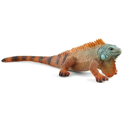 Obrázok produktu pre Schleich 14854 Leguán Vo Voľnej Prírode