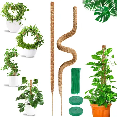 Image de Support flexible pour plantes grimpantes - 2 pièces, 120 cm - Fibre de coco