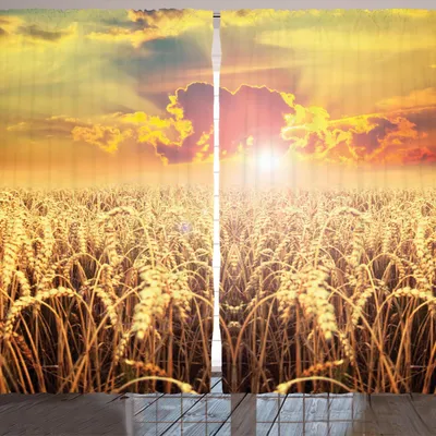 Image de ARANDE rideau rustique, paysage au coucher du soleil dans un champ d'amandiers, 280 x 245 cm, marron sable multicolore
