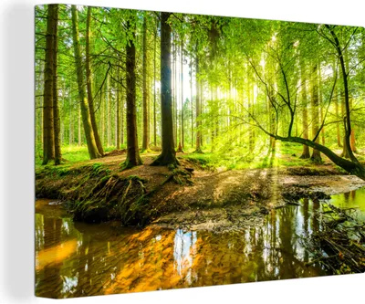 Obrázek produktu pro OneMillionCanvasses® Malba na plátně Nástěnná malba na plátně - Les - Krajina - Voda - Stromy - Slunce - Zeleň - Příroda - 150x100cm