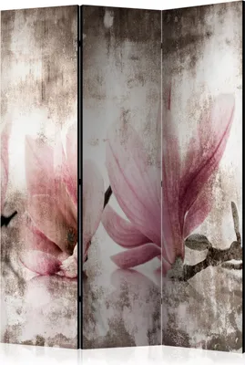 Produktbild von 3-teiliger Einseitiger Vlies Paravent - Historic Magnolias 135x172 cm Blumen b-C-0731-z-b