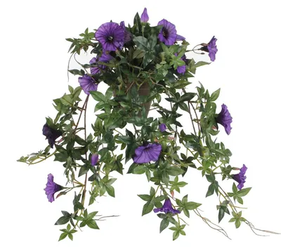 Produktbild von Hänge-Kunstblume Petunie hängend violett